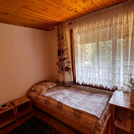 еделвайс * دوبرينيشت