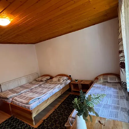 вила еделвайс キャンプ場