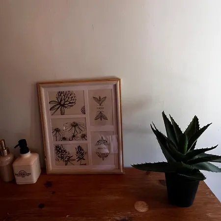 キャンプ場 вила еделвайс *